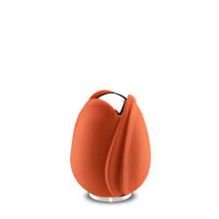 Tulip Orange Keepsake