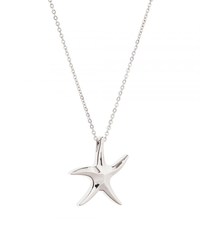 Remembrance Jewelry - Stainless Steel - Starfish Cremation Jewelry and Keepsakes