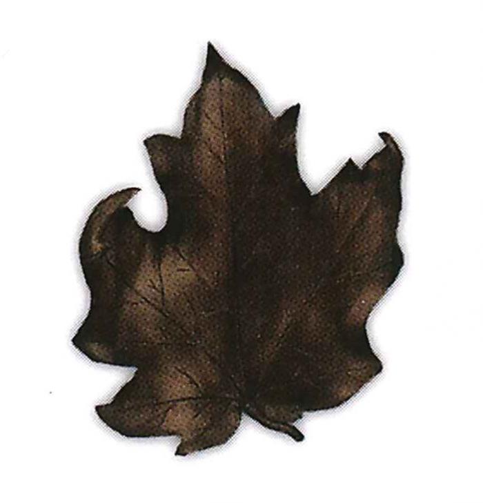 LifeSymbols - Maple Leaf