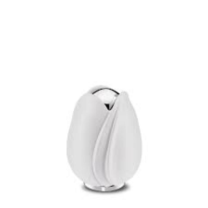 Tulip White Keepsake