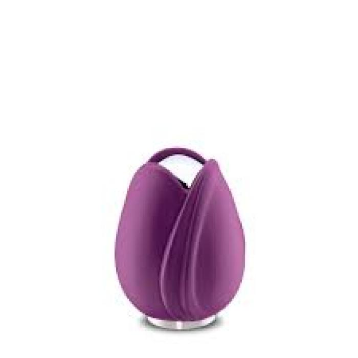 Tulip Purple Keepsake